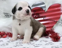 processed/ca0ad2c8-8791-42fa-9cce-5c963e16f4ea/listing/71a5f78a-3d81-411a-aaee-1462970ed6c6/4d3a5442-7dfb-4df0-b46b-2818bc00ce39