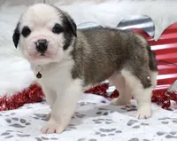 processed/ca0ad2c8-8791-42fa-9cce-5c963e16f4ea/listing/71a5f78a-3d81-411a-aaee-1462970ed6c6/e2cde457-16af-45df-a8f3-cfd4f6e0bf44