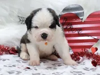 processed/ca0ad2c8-8791-42fa-9cce-5c963e16f4ea/listing/7b97bd34-dd3f-4e2e-95e9-adff5d5d949a/17d93027-bcf9-447f-a142-9650a0cb6f33