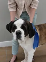 processed/ca0ad2c8-8791-42fa-9cce-5c963e16f4ea/listing/7b97bd34-dd3f-4e2e-95e9-adff5d5d949a/3b7d22db-5bec-4007-9834-4b97bb81fb54