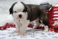 processed/ca0ad2c8-8791-42fa-9cce-5c963e16f4ea/listing/7b97bd34-dd3f-4e2e-95e9-adff5d5d949a/413eb2ee-792a-4e7c-9abd-ad7d78b87b3b