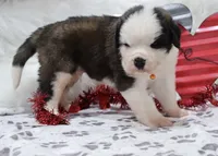 processed/ca0ad2c8-8791-42fa-9cce-5c963e16f4ea/listing/7b97bd34-dd3f-4e2e-95e9-adff5d5d949a/4198aae3-565c-450a-b8ab-17c9cb36014a