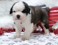 processed/ca0ad2c8-8791-42fa-9cce-5c963e16f4ea/listing/7b97bd34-dd3f-4e2e-95e9-adff5d5d949a/7b8da895-1340-4b74-96fd-344f849f5457