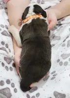 processed/ca0ad2c8-8791-42fa-9cce-5c963e16f4ea/listing/7b97bd34-dd3f-4e2e-95e9-adff5d5d949a/8dbdc9a0-4035-4b00-95f6-f8b0cc9eee26