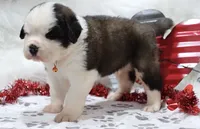 processed/ca0ad2c8-8791-42fa-9cce-5c963e16f4ea/listing/7b97bd34-dd3f-4e2e-95e9-adff5d5d949a/e33fa636-722d-4abf-9d90-a0871ba574e7