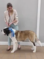 processed/ca0ad2c8-8791-42fa-9cce-5c963e16f4ea/listing/7b97bd34-dd3f-4e2e-95e9-adff5d5d949a/e62ffaef-c314-4fb0-ae38-c8c1ab17928d