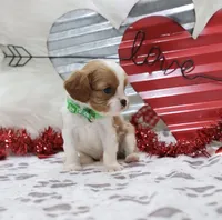 processed/ca0ad2c8-8791-42fa-9cce-5c963e16f4ea/listing/a71912ed-9730-4c36-a1bf-37ae2d9ebc3a/8bd7349b-25fe-4924-b3b6-8e12020cb99b