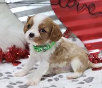 processed/ca0ad2c8-8791-42fa-9cce-5c963e16f4ea/listing/a71912ed-9730-4c36-a1bf-37ae2d9ebc3a/a5f9ad50-00bb-44c8-9b1b-983c9d0437dd