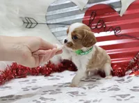 processed/ca0ad2c8-8791-42fa-9cce-5c963e16f4ea/listing/a71912ed-9730-4c36-a1bf-37ae2d9ebc3a/bb98d1e4-1796-497b-a8da-ba42baf9b549