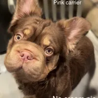 processed/ca252ee4-90a9-4f9d-b3ab-aa35904367ab/facility/37cc6b7e-2b2f-494a-abea-bcde948f09e9