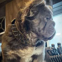 processed/ca252ee4-90a9-4f9d-b3ab-aa35904367ab/facility/53d1526e-3943-4ca7-9518-2fa1d89eec3b