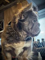 processed/ca252ee4-90a9-4f9d-b3ab-aa35904367ab/facility/53d1526e-3943-4ca7-9518-2fa1d89eec3b