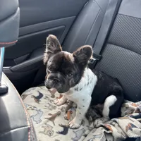 processed/ca252ee4-90a9-4f9d-b3ab-aa35904367ab/facility/574905ed-25ee-403a-92e4-c98e644078ab