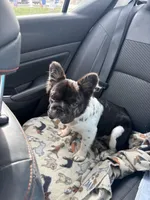 processed/ca252ee4-90a9-4f9d-b3ab-aa35904367ab/facility/574905ed-25ee-403a-92e4-c98e644078ab