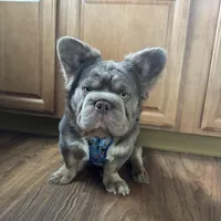 processed/ca252ee4-90a9-4f9d-b3ab-aa35904367ab/facility/772eb48b-a249-483b-ad9d-f801d4d7f444