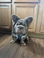 processed/ca252ee4-90a9-4f9d-b3ab-aa35904367ab/facility/772eb48b-a249-483b-ad9d-f801d4d7f444