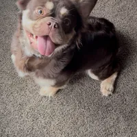 processed/ca252ee4-90a9-4f9d-b3ab-aa35904367ab/facility/84dfc49e-3ec9-4fac-b0cc-4ca3f859f6b6