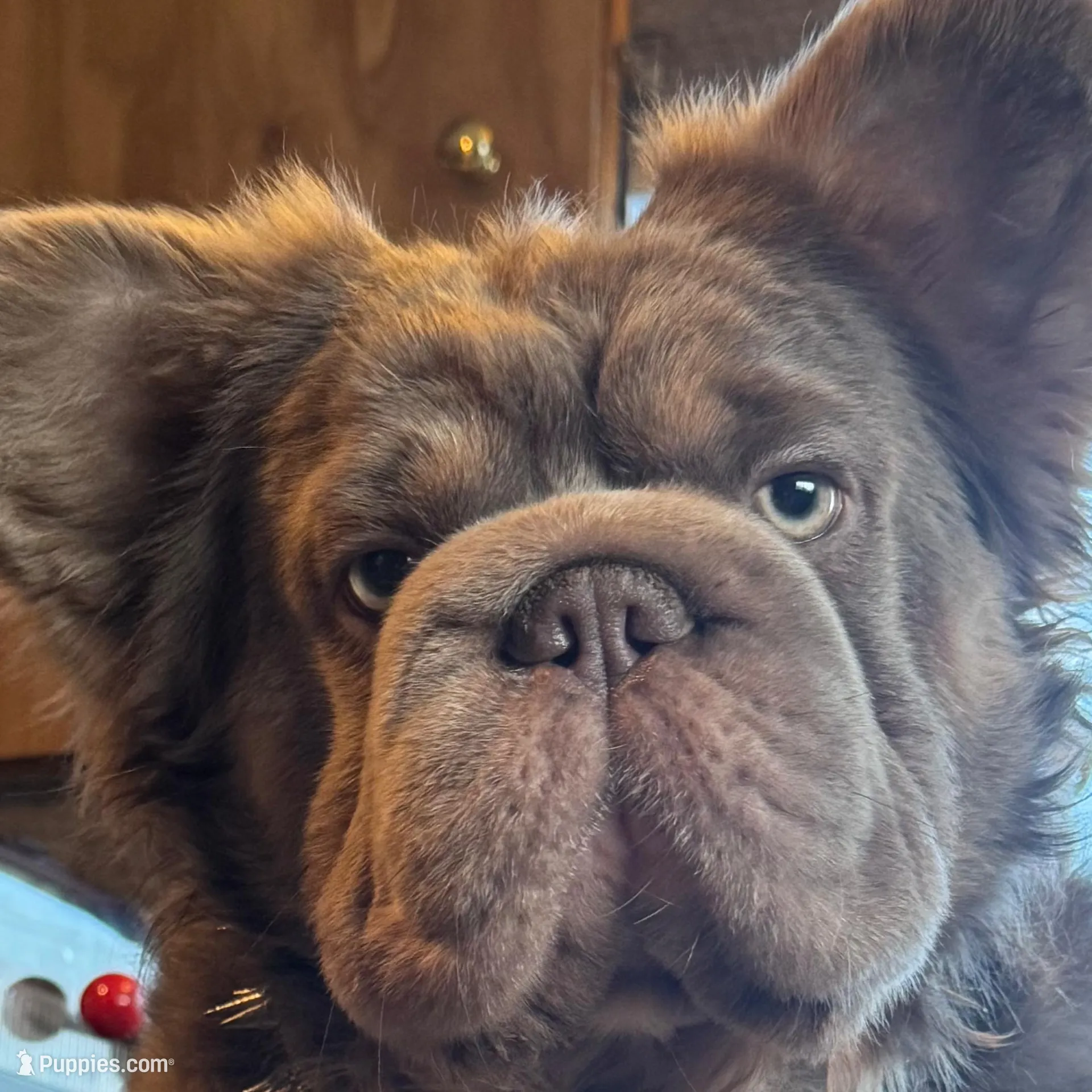 processed/ca252ee4-90a9-4f9d-b3ab-aa35904367ab/facility/9bfa6663-8d72-4ef9-b929-288a9d5379c7