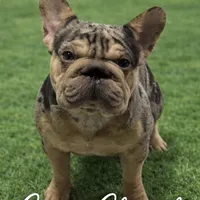 processed/ca252ee4-90a9-4f9d-b3ab-aa35904367ab/facility/9ebd8b35-d72c-45bd-862a-ee528a30cf2d