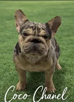 processed/ca252ee4-90a9-4f9d-b3ab-aa35904367ab/facility/9ebd8b35-d72c-45bd-862a-ee528a30cf2d