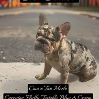 processed/ca252ee4-90a9-4f9d-b3ab-aa35904367ab/facility/dfe8fb62-08f5-412d-9e25-e28db1612096