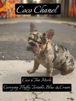 processed/ca252ee4-90a9-4f9d-b3ab-aa35904367ab/facility/dfe8fb62-08f5-412d-9e25-e28db1612096