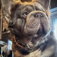 processed/ca252ee4-90a9-4f9d-b3ab-aa35904367ab/facility/e56cf923-ef27-4340-8ce7-9ee805721c17