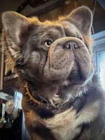 processed/ca252ee4-90a9-4f9d-b3ab-aa35904367ab/facility/e56cf923-ef27-4340-8ce7-9ee805721c17