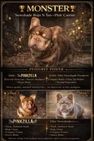 Rojo N Tan With Pink and fluffy, a male French Bulldog for sale in Schenectady, NY – Photo 4 of 4