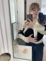 Skye, a male Australian Shepherd for sale in Spring Valley, NY – Photo 4 of 10