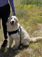 processed/ca2a9200-9d19-49e2-a275-1a8f235d69da/facility/6126392b-3150-41e4-9583-64114e1938fc