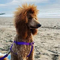 processed/ca2a9200-9d19-49e2-a275-1a8f235d69da/facility/ea5e34c1-02fb-4df1-ae60-0221aeac10d2