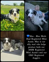 processed/ca2f96f3-2bee-4512-a6cc-4edf18500b5e/facility/04aff900-6c30-4296-864e-175993c848c3