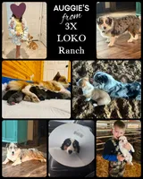 processed/ca2f96f3-2bee-4512-a6cc-4edf18500b5e/facility/7972aa6d-41a6-4331-aa53-a981e28f43f5