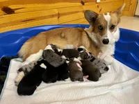 processed/ca2f96f3-2bee-4512-a6cc-4edf18500b5e/facility/7eb826b8-2a72-4923-a0f0-798accc60f20