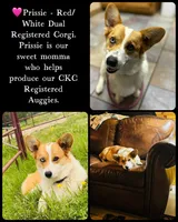 processed/ca2f96f3-2bee-4512-a6cc-4edf18500b5e/facility/9f98524c-519c-4969-a5c8-b4446cd1aba6