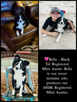 processed/ca2f96f3-2bee-4512-a6cc-4edf18500b5e/facility/ab35a7bc-79bd-4120-ae68-9e902adec93d