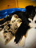 processed/ca2f96f3-2bee-4512-a6cc-4edf18500b5e/facility/c56d2cce-ae1c-4a5a-a1ab-bdedbcca3b91