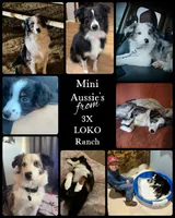 processed/ca2f96f3-2bee-4512-a6cc-4edf18500b5e/facility/df7885d5-c5dd-4012-ae15-df705015ffe7