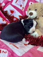 processed/ca2f96f3-2bee-4512-a6cc-4edf18500b5e/listing/5be37a76-0a1c-4818-9543-943e7affc1a8/1849eae8-d5dc-4f37-b641-bffa8737d32b