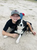 processed/ca2f96f3-2bee-4512-a6cc-4edf18500b5e/listing/5be37a76-0a1c-4818-9543-943e7affc1a8/4395baa5-8c4f-4e4f-8d4c-03d0b3316959