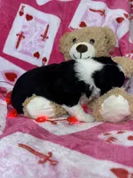 processed/ca2f96f3-2bee-4512-a6cc-4edf18500b5e/listing/5be37a76-0a1c-4818-9543-943e7affc1a8/89b4c3aa-4f4f-4ad8-842b-fce44bdaee87