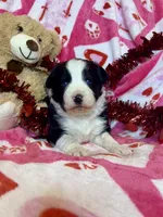 processed/ca2f96f3-2bee-4512-a6cc-4edf18500b5e/listing/5be37a76-0a1c-4818-9543-943e7affc1a8/be92d491-bf2d-49b4-a737-3eeca11d97eb