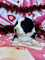 processed/ca2f96f3-2bee-4512-a6cc-4edf18500b5e/listing/5be37a76-0a1c-4818-9543-943e7affc1a8/c5ef0de9-3f59-476d-b4e2-a64ada26b89d