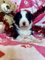 processed/ca2f96f3-2bee-4512-a6cc-4edf18500b5e/listing/5be37a76-0a1c-4818-9543-943e7affc1a8/d73c468b-dfeb-4a0c-88e3-226ef4033f7e