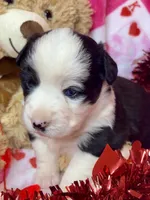 processed/ca2f96f3-2bee-4512-a6cc-4edf18500b5e/listing/97f01ee0-f6ef-4ad0-898d-d151d3b38812/1ae7797a-281b-4d64-8a9d-2531258b6dd8