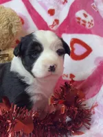 processed/ca2f96f3-2bee-4512-a6cc-4edf18500b5e/listing/97f01ee0-f6ef-4ad0-898d-d151d3b38812/7e2e4fb9-0986-4b2e-9bfe-aae416bb7689