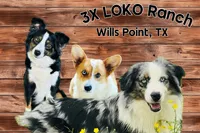 processed/ca2f96f3-2bee-4512-a6cc-4edf18500b5e/listing/97f01ee0-f6ef-4ad0-898d-d151d3b38812/fa695146-c2af-4ac1-86fa-4c86e9b2890b