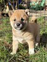 processed/ca31b734-2456-4b6c-8a78-8359fed987e7/listing/04e6e4e2-80f0-43cd-ba91-df14734216d4/637b26b1-9f71-43e2-9943-40b6930bed63