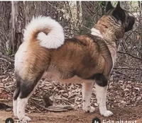 processed/ca3f019f-b605-4713-ae5d-39660d25b7c6/facility/17e78a70-34d4-4ced-bfe6-1f69bc693e44